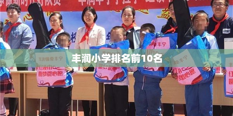丰润小学排名前10名
