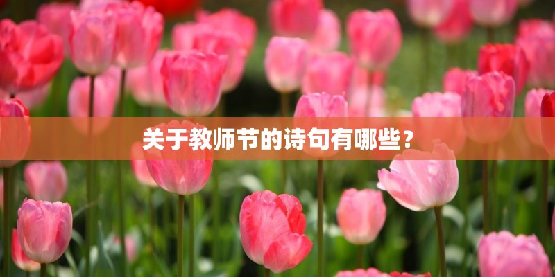 关于教师节的诗句有哪些？
