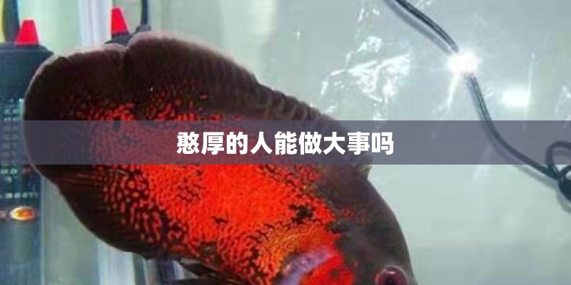 憨厚的人能做大事吗