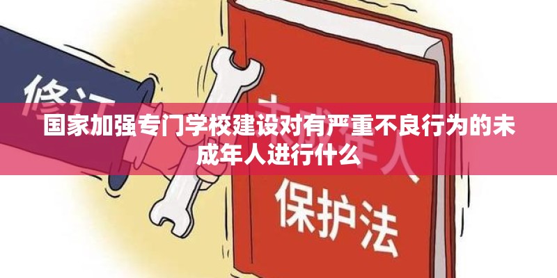 国家加强专门学校建设对有严重不良行为的未成年人进行什么