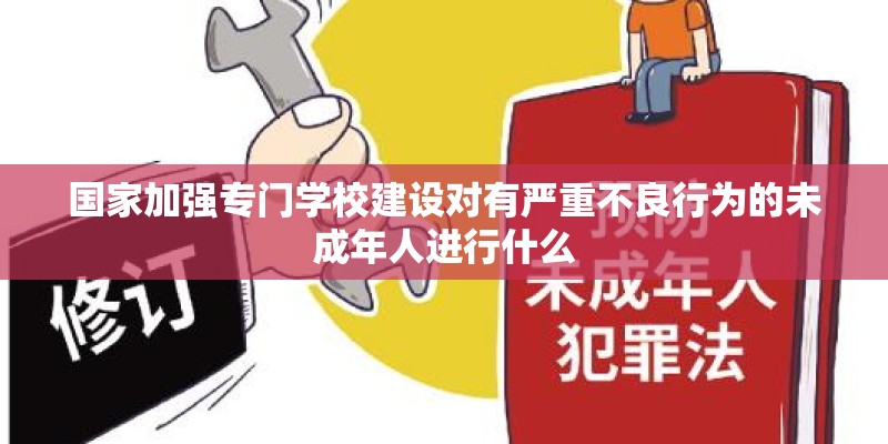 国家加强专门学校建设对有严重不良行为的未成年人进行什么
