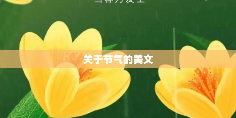 关于节气的美文