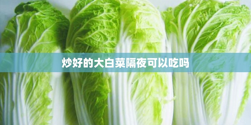 炒好的大白菜隔夜可以吃吗