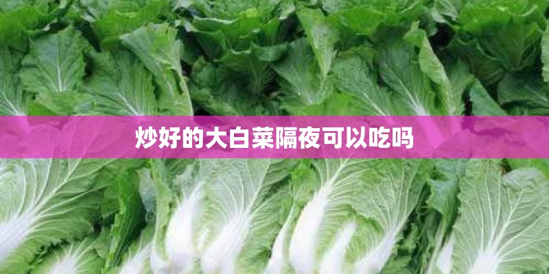 炒好的大白菜隔夜可以吃吗