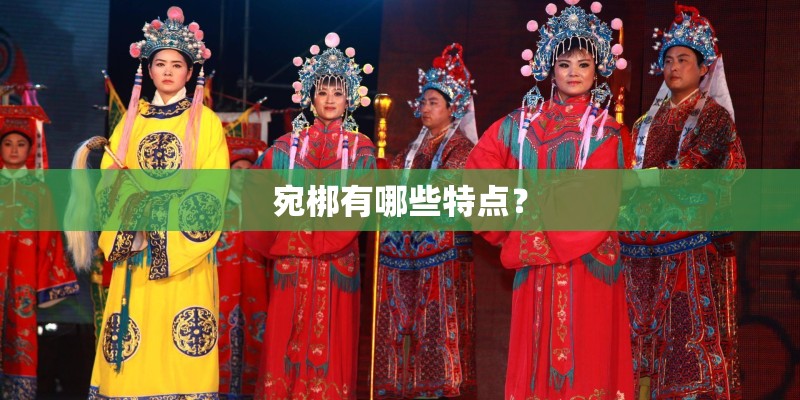宛梆有哪些特点？