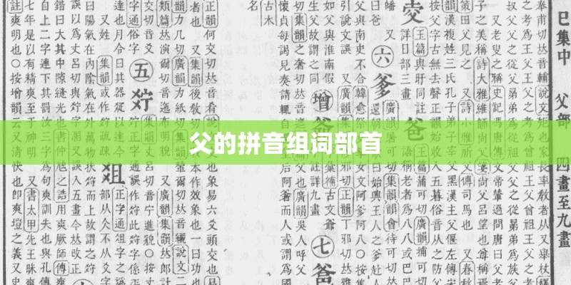 父的拼音组词部首