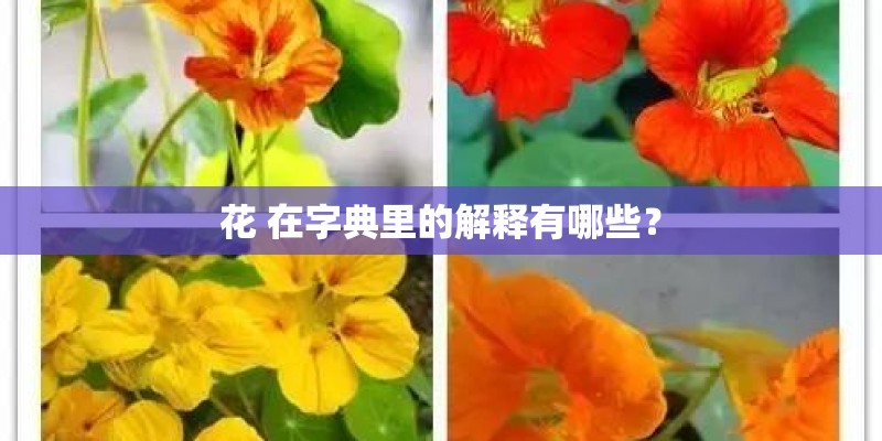 花 在字典里的解释有哪些？