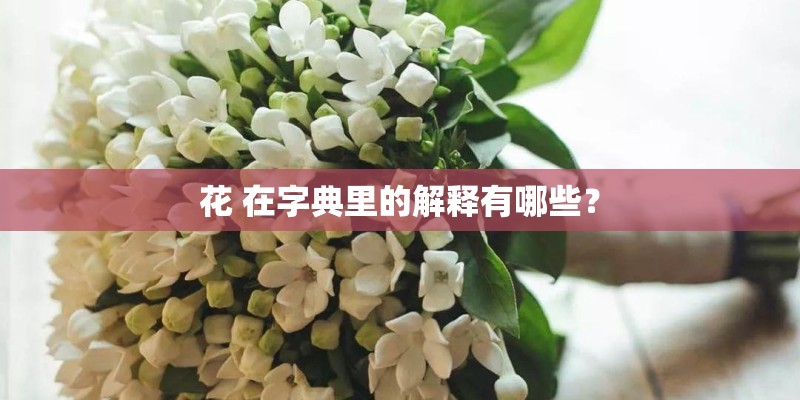 花 在字典里的解释有哪些？