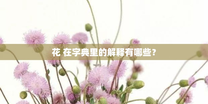 花 在字典里的解释有哪些？