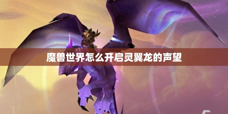 魔兽世界怎么开启灵翼龙的声望