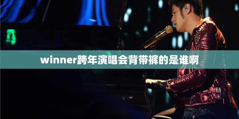 winner跨年演唱会背带裤的是谁啊