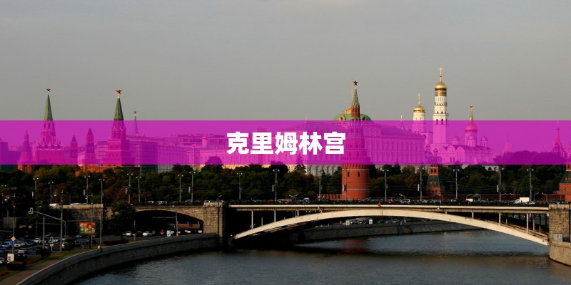 西红柿挨着什么菜种比较好