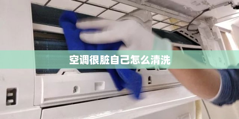 西红柿挨着什么菜种比较好