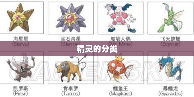 精灵的分类