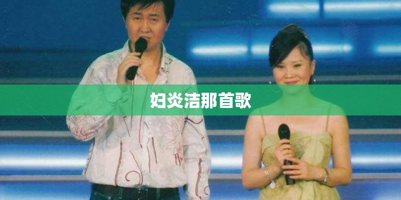 妇炎洁那首歌