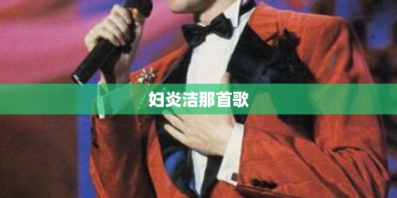 妇炎洁那首歌