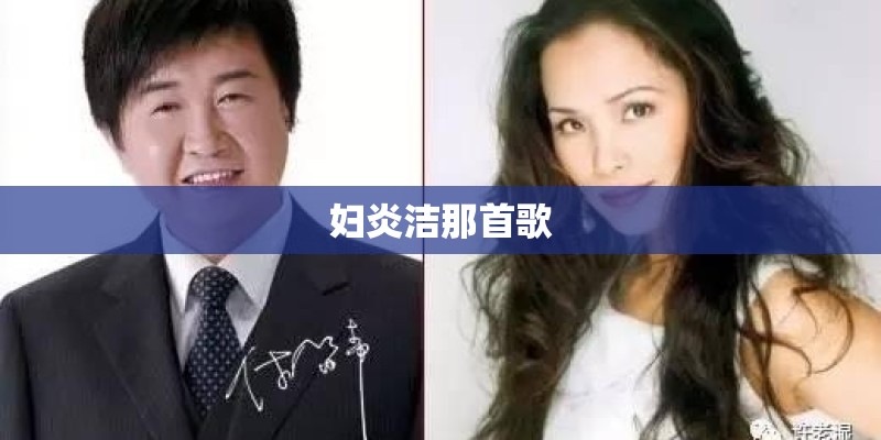 妇炎洁那首歌