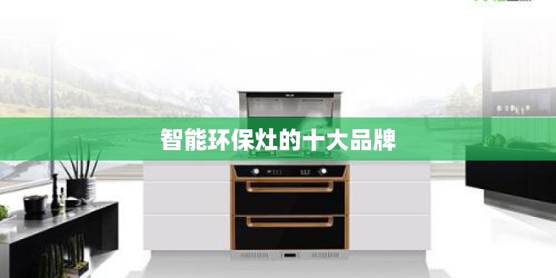 智能环保灶的十大品牌