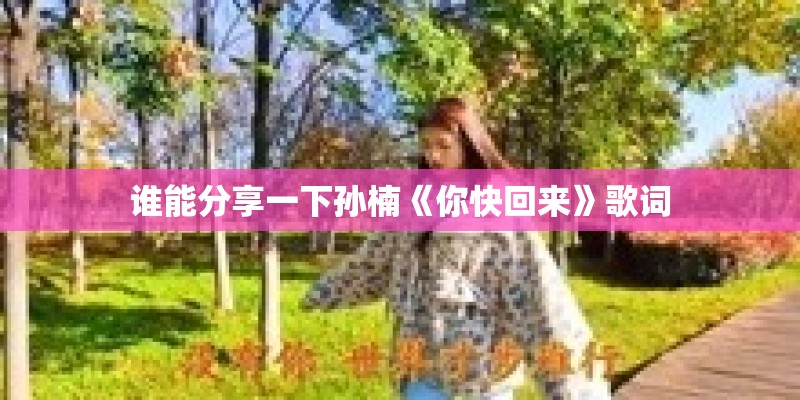 谁能分享一下孙楠《你快回来》歌词
