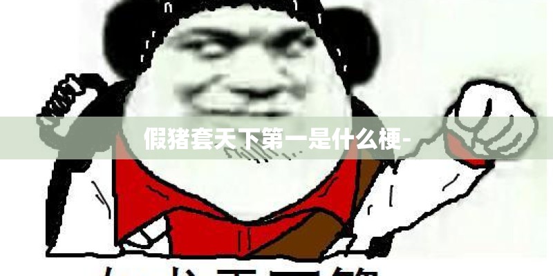 假猪套天下第一是什么梗-