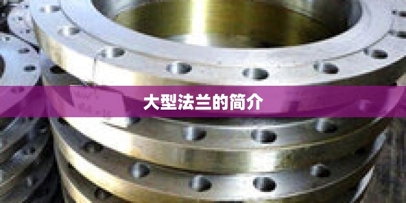 大型法兰的简介