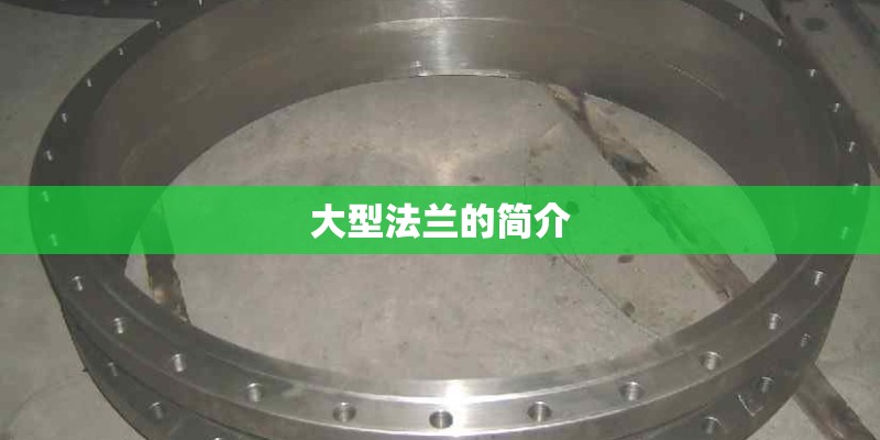 大型法兰的简介
