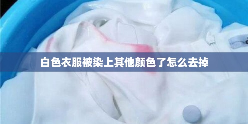 白色衣服被染上其他颜色了怎么去掉