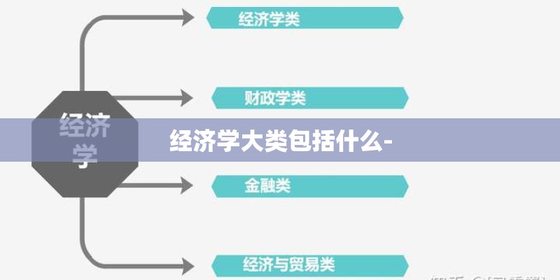 经济学大类包括什么-