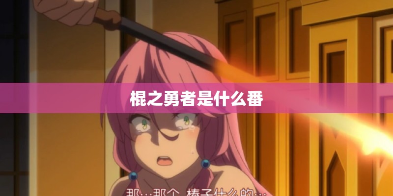 棍之勇者是什么番