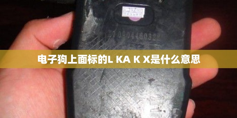 电子狗上面标的L KA K X是什么意思