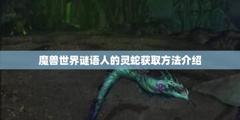 魔兽世界谜语人的灵蛇获取方法介绍