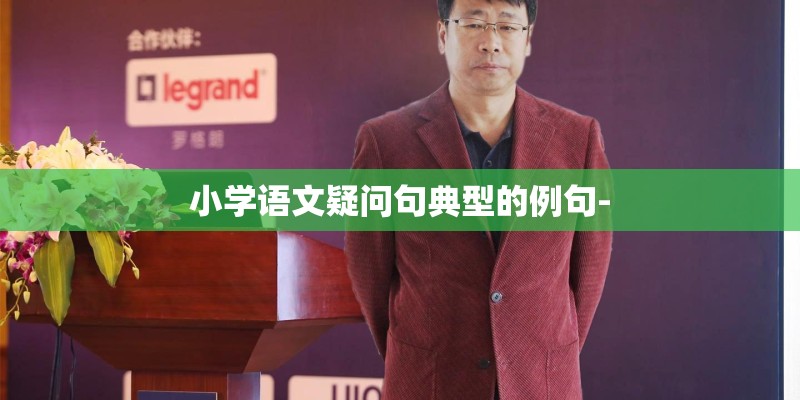 小学语文疑问句典型的例句-