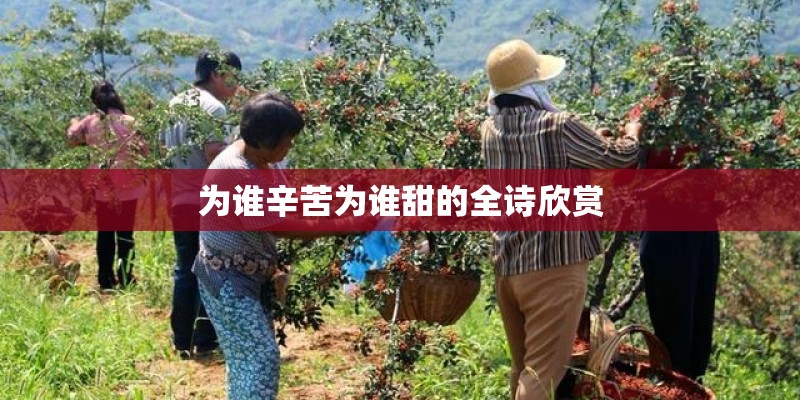 为谁辛苦为谁甜的全诗欣赏