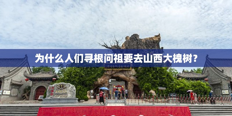 为什么人们寻根问祖要去山西大槐树？