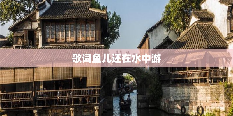 歌词鱼儿还在水中游