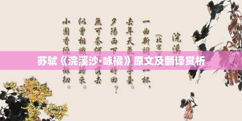苏轼《浣溪沙·咏橘》原文及翻译赏析