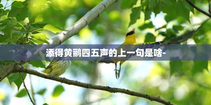 添得黄鹂四五声的上一句是啥-