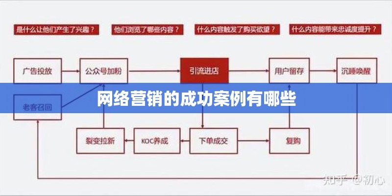 网络营销的成功案例有哪些