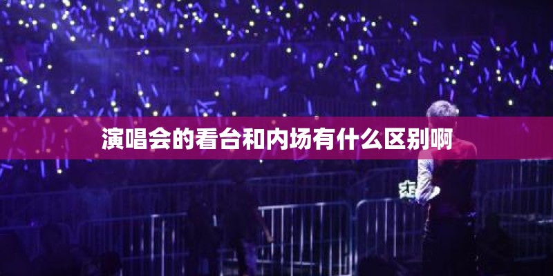 演唱会的看台和内场有什么区别啊