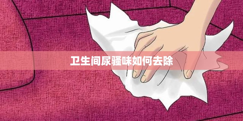 卫生间尿骚味如何去除