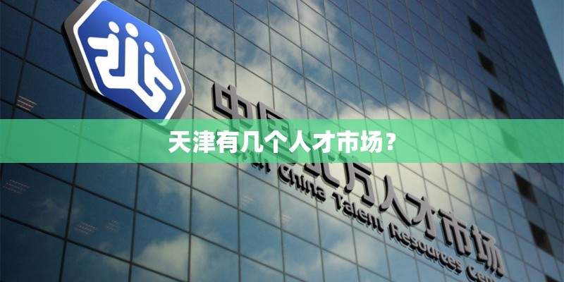 天津有几个人才市场？