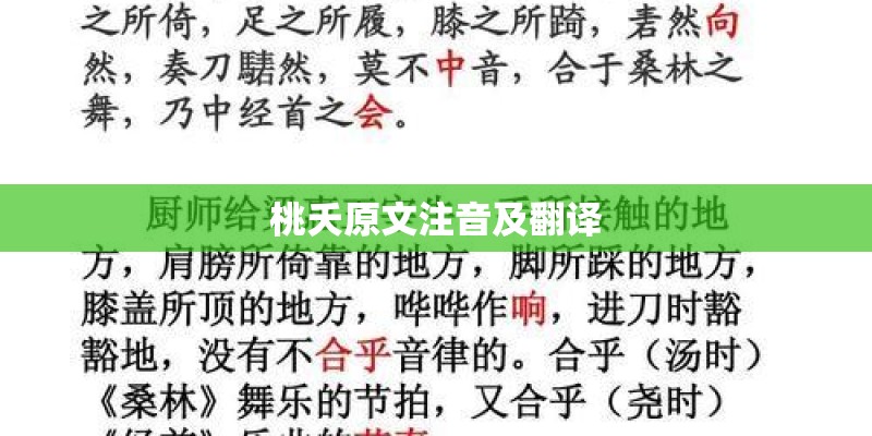 桃夭原文注音及翻译 桃夭原文注音及翻译