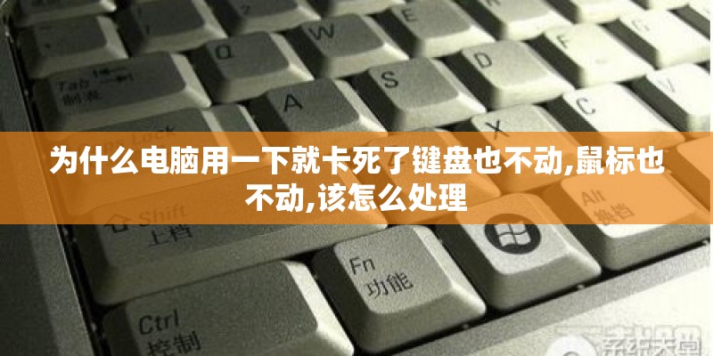 为什么电脑用一下就卡死了键盘也不动,鼠标也不动,该怎么处理