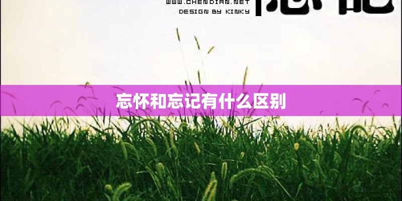 忘怀和忘记有什么区别