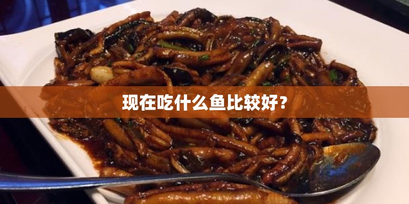 现在吃什么鱼比较好？