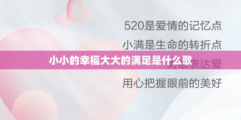 小小的幸福大大的满足是什么歌 小小的幸福大大的满足是什么歌