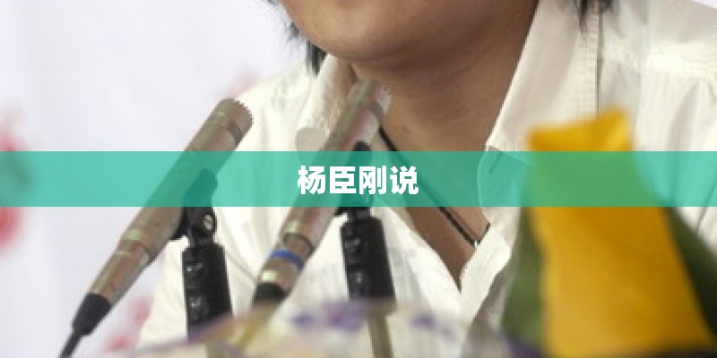 杨臣刚说