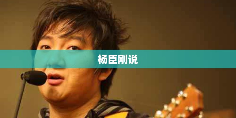 杨臣刚说