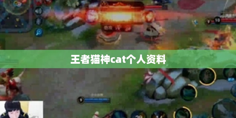 王者猫神cat个人资料