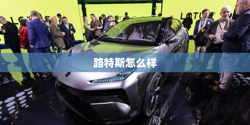 路特斯怎么样